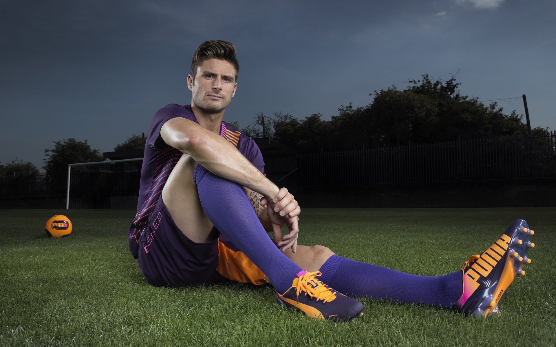 马术锦标赛赛事亮点回顾，马术比赛金牌